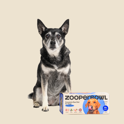 Complete Hypoallergenic Raw Diet for Dogs
