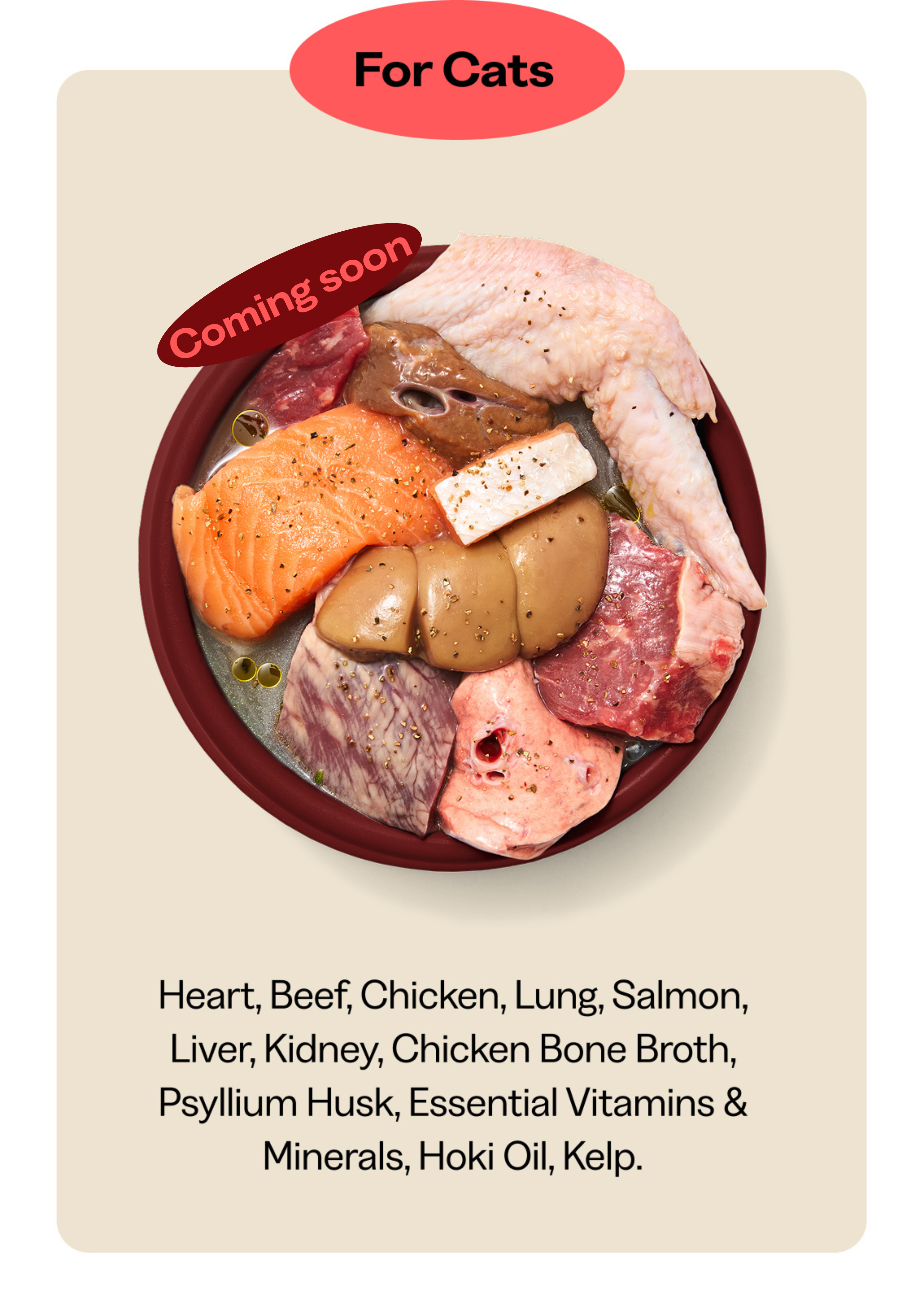 A bowl showing all the high quality ingredients found in ZooperBowl's Diet for adult cats - Chicken, Salmon, Beef, Organs, Hoki Oil and more