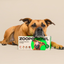Complete Raw Diet for Dogs