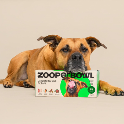 Complete Raw Diet for Dogs
