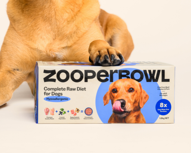 Dog with his paw on a ZooperBowl Complete Raw Diet For Dogs Hypoallergenic box against a light beige background